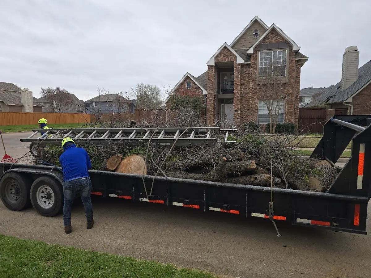 Expert Tree Fertilization with proper safety equipment in Philpot